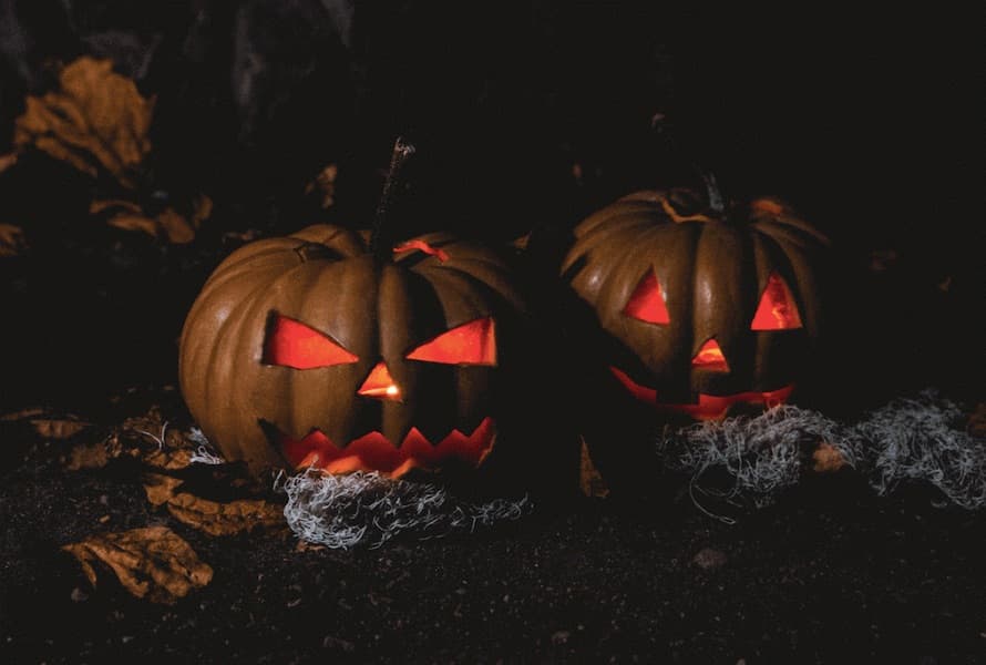 SEO House Of Horrors